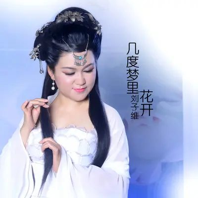 几度梦里花开 (二胡精简版)封面