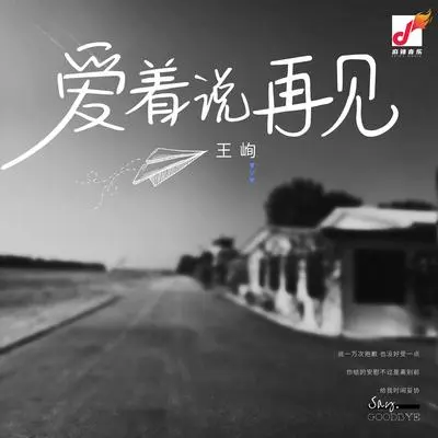 慢了半拍的爱（剪辑版）封面