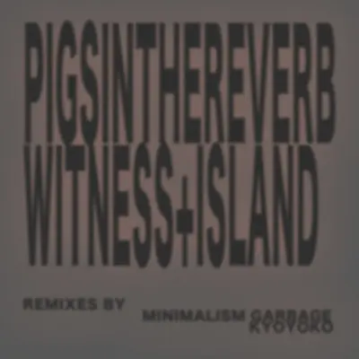 Witness+Island (Remix)封面