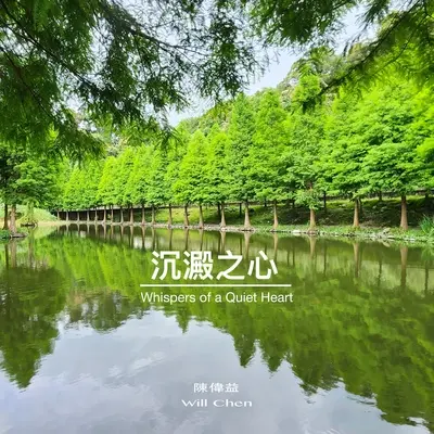 沉淀 - 陈伟益封面