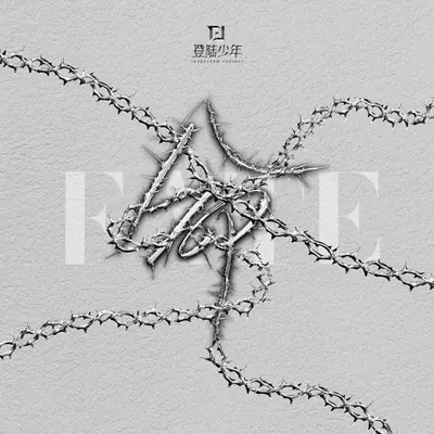 命（FATE）封面