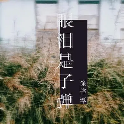 眼泪是子弹（伴奏）封面