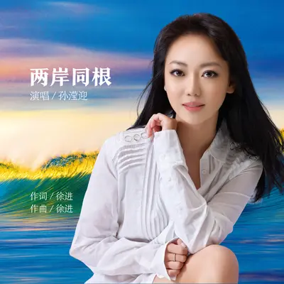 两岸同根封面