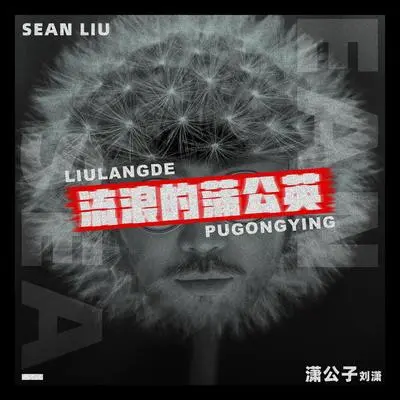 流浪的蒲公英 （伴奏）封面