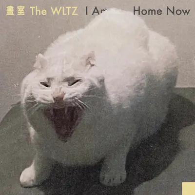 天快亮的街上 - 画室 The WLTZ封面
