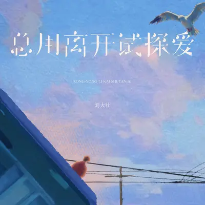 总用离开试探爱 - 刘大壮封面