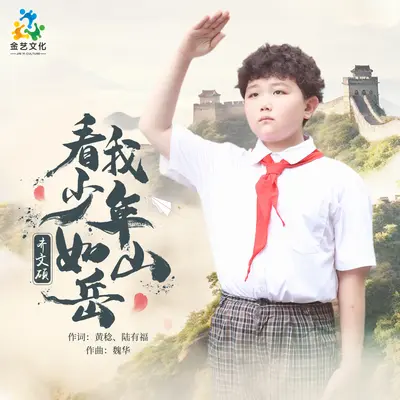 看我少年如山岳封面