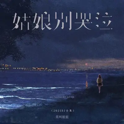 姑娘别哭泣(DJ西米版)封面
