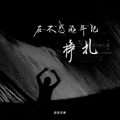 在不惑的年纪挣扎(DJ EVA 版)封面