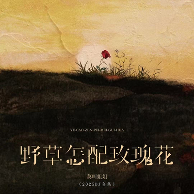 野草怎配玫瑰花(DJ西米版) - 莫叫姐姐封面