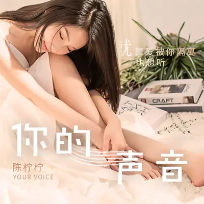 你的声音封面