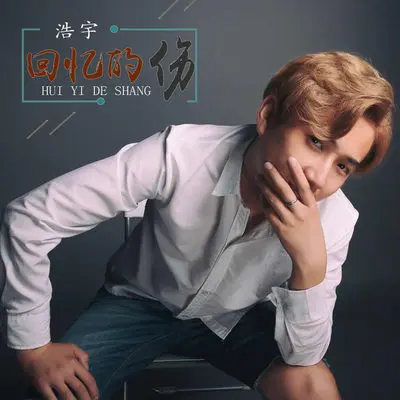 回忆的伤 - 许程翔 / 浩宇封面