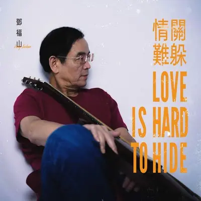 情关难躲封面