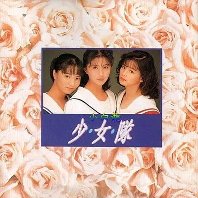 在有星星的夜晚想你封面