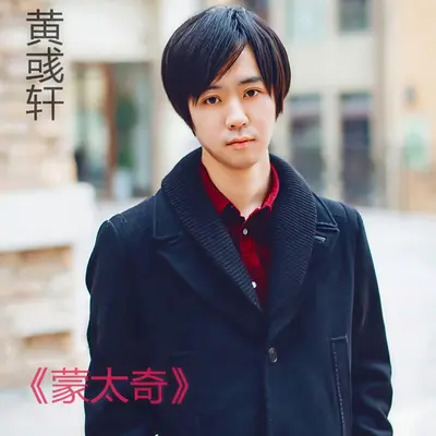 她只想对我任性封面