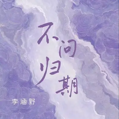 不问归期(DJ氛围版)封面