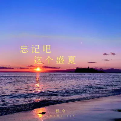 忘记吧这个盛夏(DJ氛围版)封面