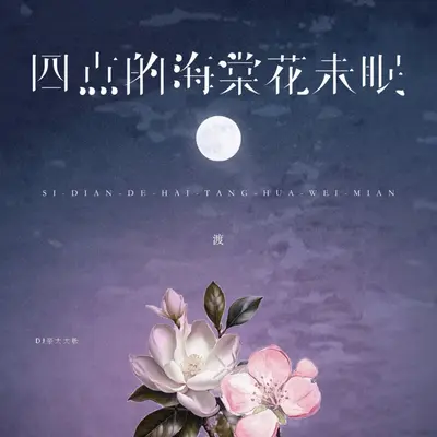 四点的海棠花未眠(DJ杨杨版)封面