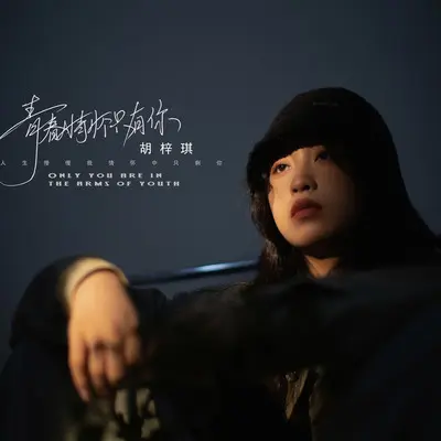 青春情怀只有你封面