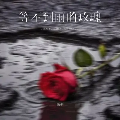 等不到雨的玫瑰(伴奏)封面