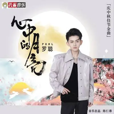 心中的月亮封面