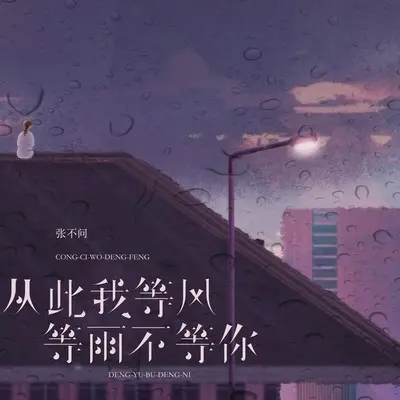 从此我等风等雨不等你封面