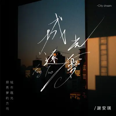 城光逐梦封面