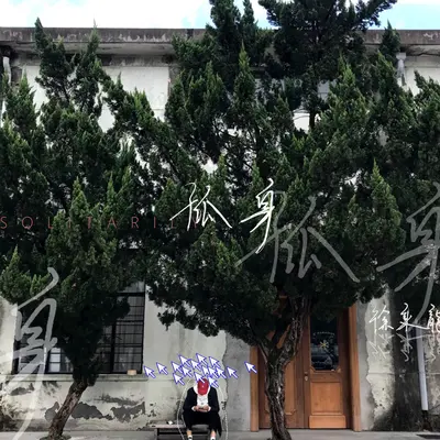 孤身 (伴奏) - 徐秉龙封面
