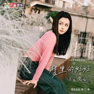 梦里的妈妈 - 王奕心封面