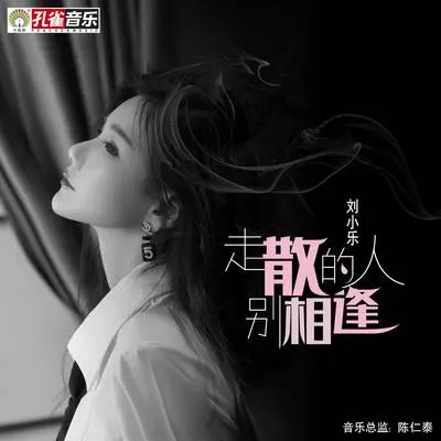 走散的人别相逢封面