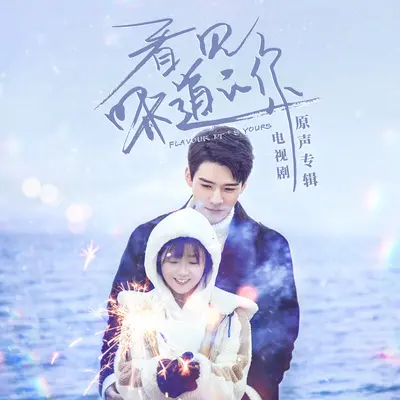 廉价眼泪(网剧《看见味道的你》插曲)封面