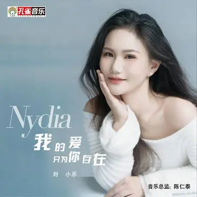 我的爱只为你存在封面