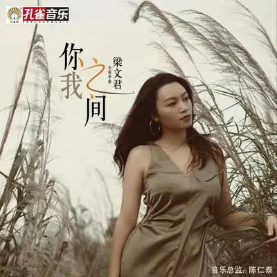 你我之间封面