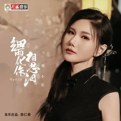 细雨化作相思泪封面
