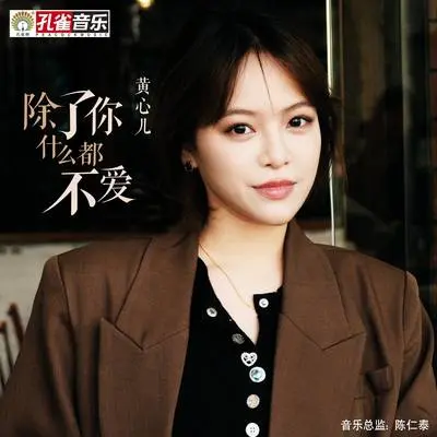除了你什么都不爱封面