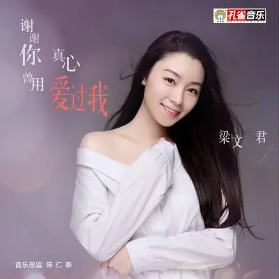 谢谢你曾用真心爱过我封面