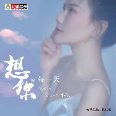 想你的每一天封面