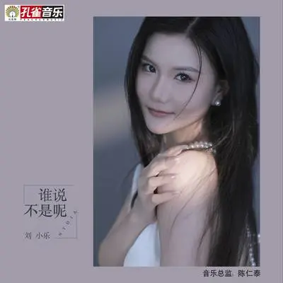 谁说不是呢封面