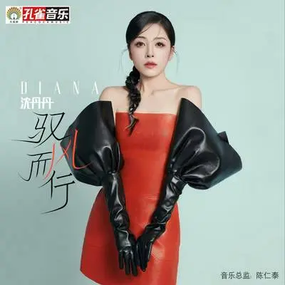 驭风而行封面