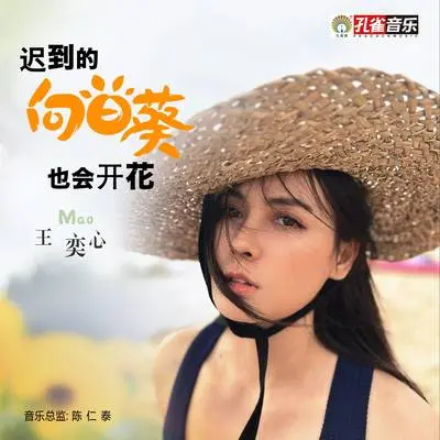 迟到的向日葵也会开花封面