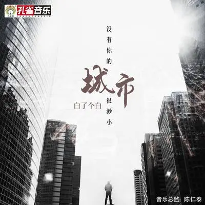 没有你的城市很渺小封面