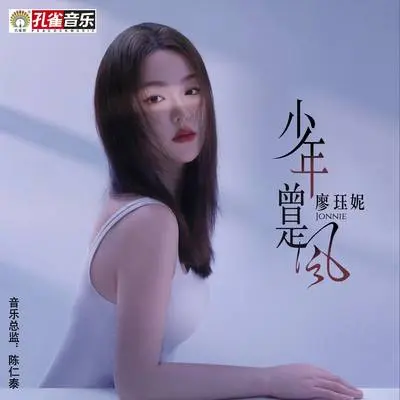 少年曾是风封面