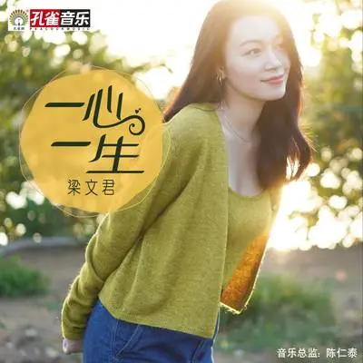 一心一生封面