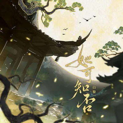 她可知否(DJ桃子阿版伴奏)封面