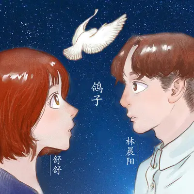 鸽子(伴奏)封面