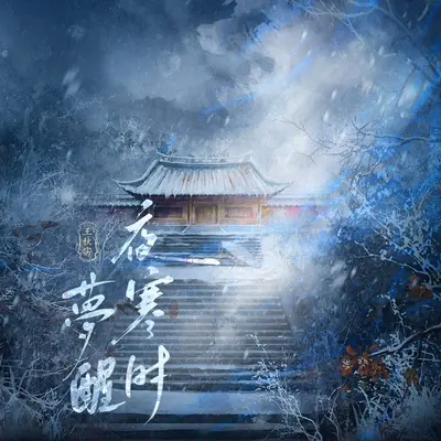 梦醒夜寒时(伴奏) - 王秋实封面