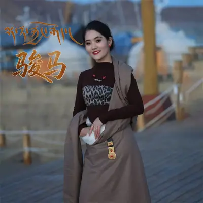 骏马 - 索南拉毛封面