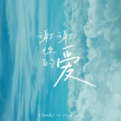 谢谢你的爱封面