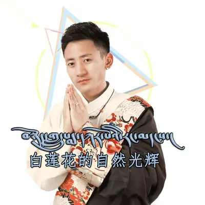 白莲花的自然光辉封面
