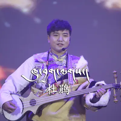杜鹃封面